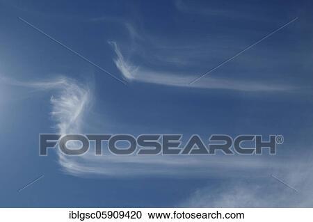Cirrus clouds (Cirrus) in the blue sky, Canada, North America View Large Photo Image Stock Image - Cirrus clouds (Cirrus) in the blue sky, Canada, North America. Fotosearch