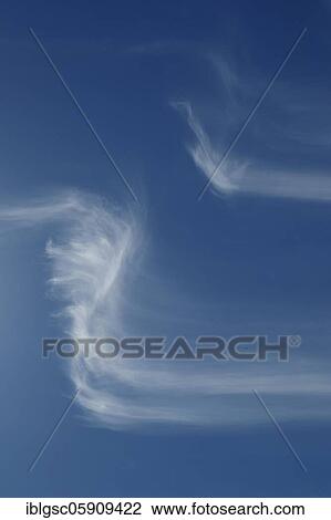 Stock Image - Cirrus clouds (Cirrus) in the blue sky, Canada, North America. Fotosearch