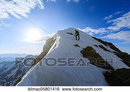 Stock Photograph - Climbers ascending the Studerhorn from the Oberen Studerjoch, Canton Valais, Switzerland, Europe. Fotosearch