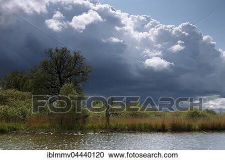 Cloudy atmosphere, River Trebel, Peenetal Nature Park, Mecklenburg-Western Pomerania, Germany, Europe View Large Photo Image Stock Image - Cloudy atmosphere, River Trebel, Peenetal Nature Park, Mecklenburg-Western Pomerania, Germany, Europe. Fotosearch