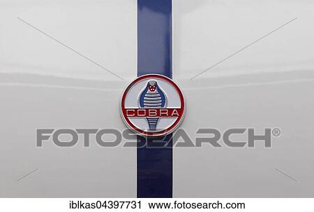 Stock Image - Cobra emblem on a Shelby 427 Kirkham 1965 AC Cobra, British classic car. Fotosearch