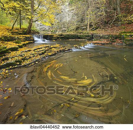 Colorful autumn foliage on limestone terraces in the Schlichem River, leaves tossed about in the whirlpool, Schlichemklamm, Epfendorf, Baden-Württemberg, Germany, Europe View Large Photo Image Stock Image - Colorful autumn foliage on limestone terraces in the Schlichem River, leaves tossed about in the whirlpool, Schlichemklamm, Epfendorf, Baden-Württemberg, Germany, Europe. Fotosearch