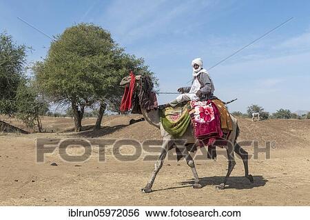 Stock Photograph - Colourful camel rider at a Tribal festival, Sahel, Chad, Africa. Fotosearch