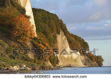 Stock Image - Colourful trees on chalk cliffs, Jasmund National Park, Baltic Coast at Sassnitz, Rügen, Mecklenburg-Western Pomerania. Fotosearch