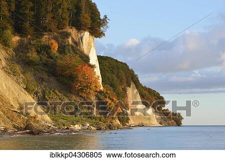 Colourful trees on chalk cliffs, Jasmund National Park, Baltic Coast at Sassnitz, Rügen, Mecklenburg-Western Pomerania View Large Photo Image Stock Photography - Colourful trees on chalk cliffs, Jasmund National Park, Baltic Coast at Sassnitz, Rügen, Mecklenburg-Western Pomerania. Fotosearch