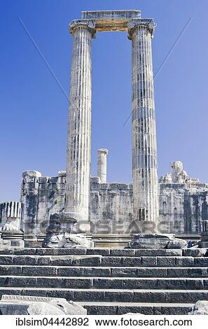 Columns of the Temple of Apollo, Didyma, Anatolia, Turkey, Asia View Large Photo Image Stock Image - Columns of the Temple of Apollo, Didyma, Anatolia, Turkey, Asia. Fotosearch