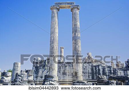 Columns of the Temple of Apollo, Didyma, Anatolia, Turkey, Asia View Large Photo Image Stock Image - Columns of the Temple of Apollo, Didyma, Anatolia, Turkey, Asia. Fotosearch
