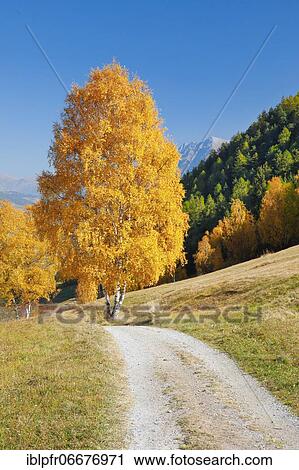Stock Image - Country lane in the Lower Engadine, Switzerland, Europe. Fotosearch