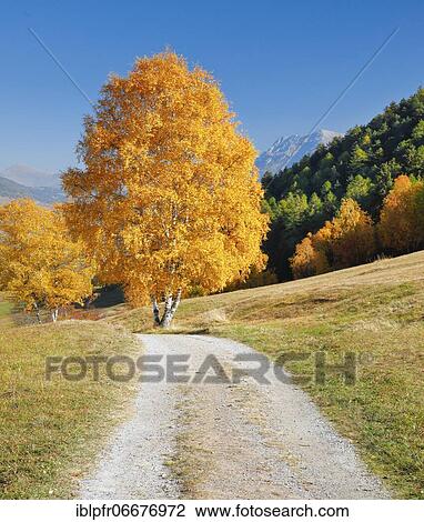 Country lane in the Lower Engadine, Switzerland, Europe View Large Photo Image Stock Image - Country lane in the Lower Engadine, Switzerland, Europe. Fotosearch