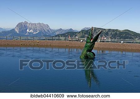 Cymbosponylus in the water in Triassic Park on Steinplatte, near Waidring, Tyrol, Austria, Europe View Large Photo Image Stock Photo - Cymbosponylus in the water in Triassic Park on Steinplatte, near Waidring, Tyrol, Austria, Europe. Fotosearch