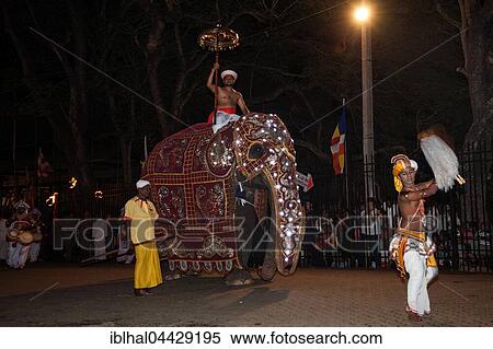 Decorated elephant and dancers, Buddhist festival Esala Perahera, Kandy, Central Province, Sri Lanka, Asia View Large Photo Image Stock Photography - Decorated elephant and dancers, Buddhist festival Esala Perahera, Kandy, Central Province, Sri Lanka, Asia. Fotosearch