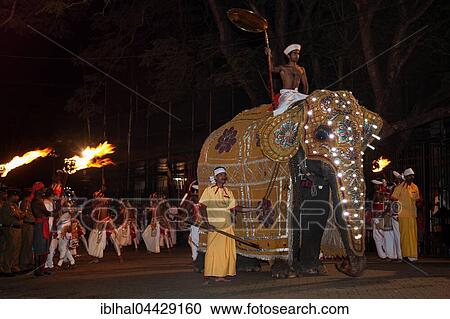 Stock Image - Decorated elephant, Buddhist festival Esala Perahera, Kandy, Central Province, Sri Lanka, Asia. Fotosearch