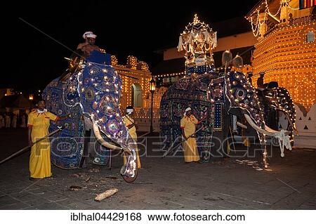 Decorated elephants, Dalada group with sacred elephant Maligawa Raja, carrying Sacred Tooth Relic on back, Buddhist festival Esala Perahera, in front of Sri Dalada Maligawa or Temple of the Sacred Tooth Relic, Kandy, Central Province, Sri Lanka, Asia View Large Photo Image Stock Photo - Decorated elephants, Dalada group with sacred elephant Maligawa Raja, carrying Sacred Tooth Relic on back, Buddhist festival Esala Perahera, in front of Sri Dalada Maligawa or Temple of the Sacred Tooth Relic, Kandy, Central Province, Sri Lanka, Asia. Fotosearch