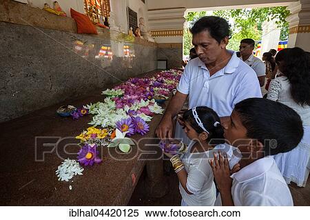 Devout Buddhists put offerings in prayer room, Jaya Sri Maha Bodhi, sacred fig tree, Sacred City of Anuradhapura, North Central Province, Sri Lanka, Asia View Large Photo Image Stock Photography - Devout Buddhists put offerings in prayer room, Jaya Sri Maha Bodhi, sacred fig tree, Sacred City of Anuradhapura, North Central Province, Sri Lanka, Asia. Fotosearch