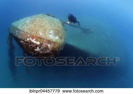 Divers at bow, shipwreck El Arish or El Arish El-Tor, sunken car ferry, Port Safaga, Red Sea, Egypt, Africa View Large Photo Image Stock Photo - Divers at bow, shipwreck El Arish or El Arish El-Tor, sunken car ferry, Port Safaga, Red Sea, Egypt, Africa. Fotosearch