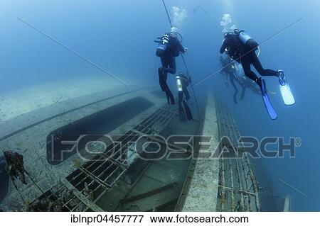 Divers at El Arish or El Arish El-Tor shipwreck, sunken car ferry, Port Safaga, Red Sea, Egypt, Africa View Large Photo Image Stock Photo - Divers at El Arish or El Arish El-Tor shipwreck, sunken car ferry, Port Safaga, Red Sea, Egypt, Africa. Fotosearch