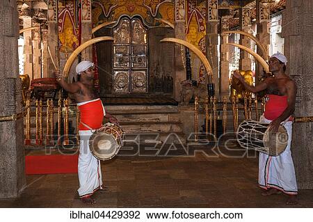 Drummers in front of holy shrine in Sri Dalada Maligawa or Temple of the Sacred Tooth Relic, Buddhist sanctuary, Kandy, Central Province, Sri Lanka, Asia View Large Photo Image Stock Image - Drummers in front of holy shrine in Sri Dalada Maligawa or Temple of the Sacred Tooth Relic, Buddhist sanctuary, Kandy, Central Province, Sri Lanka, Asia. Fotosearch