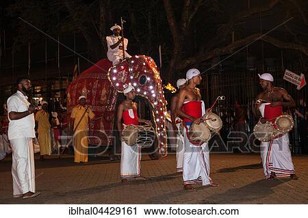 Drummers in traditional costumes, decorated elephants, Buddhist festival Esala Perahera, Kandy, Central Province, Sri Lanka, Asia View Large Photo Image Stock Image - Drummers in traditional costumes, decorated elephants, Buddhist festival Esala Perahera, Kandy, Central Province, Sri Lanka, Asia. Fotosearch
