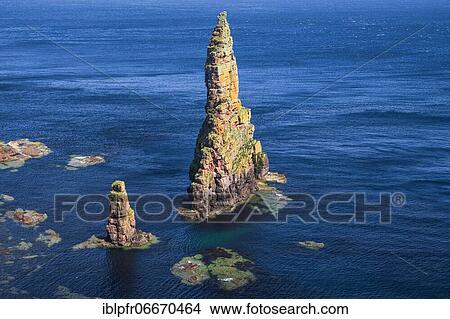 Picture - East Coast Scotland, Great Britain. Fotosearch