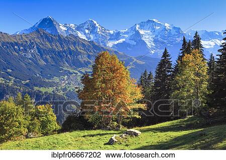 Eiger, 3970 (m), Mönch, 4107 m, Jungfrau, 4158 m, Bernese Oberland, Switzerland, Europe View Large Photo Image Stock Image - Eiger, 3970 (m), Mönch, 4107 m, Jungfrau, 4158 m, Bernese Oberland, Switzerland, Europe. Fotosearch