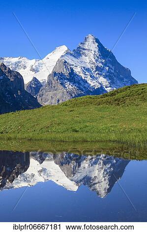 Stock Image - Eiger and Mönch, Grindelwald, Switzerland, Europe. Fotosearch