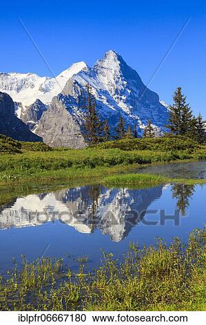 Eiger, Monk, Switzerland, Europe View Large Photo Image Stock Image - Eiger, Monk, Switzerland, Europe. Fotosearch