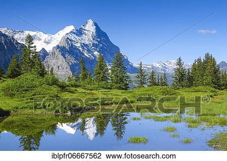 Stock Image - Eiger, Monk, Switzerland, Europe. Fotosearch