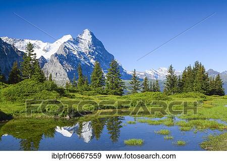 Stock Photo - Eiger, Monk, Switzerland, Europe. Fotosearch