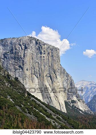 El Capitan, granite, eroded mountain, Yosemite Valley, Yosemite National Park, California, USA, North America View Large Photo Image Stock Image - El Capitan, granite, eroded mountain, Yosemite Valley, Yosemite National Park, California, USA, North America. Fotosearch