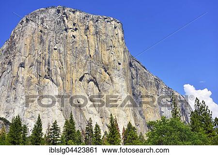 El Capitan, granite, eroded mountain, Yosemite Valley, Yosemite National Park, California, USA, North America View Large Photo Image Stock Image - El Capitan, granite, eroded mountain, Yosemite Valley, Yosemite National Park, California, USA, North America. Fotosearch