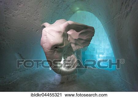 Elephant made of ice, Icehotel, Jukkasjärvi, Lapland, Norrbotten County, Sweden, Europe View Large Photo Image Stock Image - Elephant made of ice, Icehotel, Jukkasjärvi, Lapland, Norrbotten County, Sweden, Europe. Fotosearch