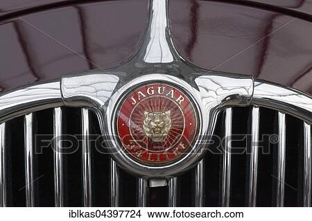 Picture - Emblem on radiator grill of 4 liter Jaguar 3, British classic car. Fotosearch
