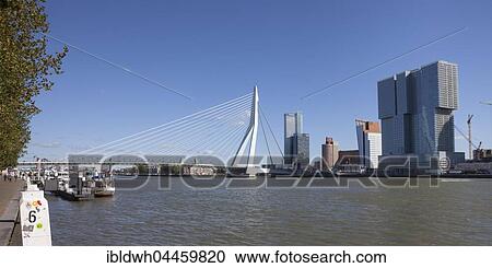 Stock Image - Erasmus Bridge across River Nieuwe Maas, Kop van Zuid, Rotterdam, Holland, Netherlands. Fotosearch