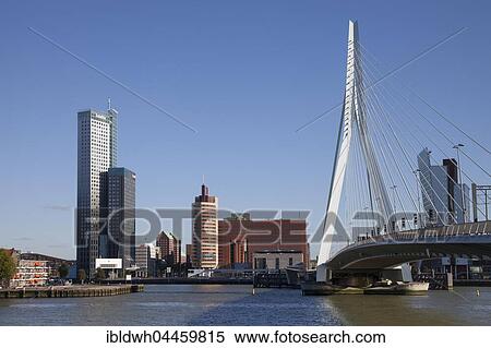 Erasmus Bridge across River Nieuwe Maas, Kop van Zuid, Rotterdam, Holland, Netherlands View Large Photo Image Stock Photography - Erasmus Bridge across River Nieuwe Maas, Kop van Zuid, Rotterdam, Holland, Netherlands. Fotosearch