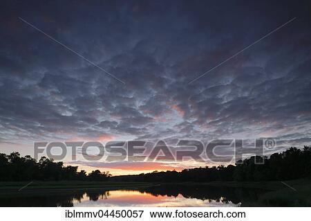 Evening in the Kliekener Aue, Middle Elbe Biosphere Reserve, Dessau, Saxony-Anhalt, Germany, Europe View Large Photo Image Stock Photo - Evening in the Kliekener Aue, Middle Elbe Biosphere Reserve, Dessau, Saxony-Anhalt, Germany, Europe. Fotosearch