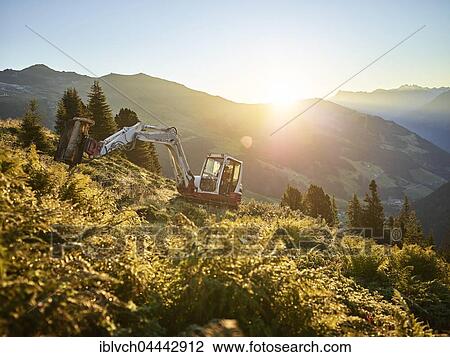 Excavator at sunrise with mulcher, alp tending, mountain landscape, Alps, Hintertux, Tuxertal, Zillertal, Tyrol, Austria, Europe View Large Photo Image Stock Image - Excavator at sunrise with mulcher, alp tending, mountain landscape, Alps, Hintertux, Tuxertal, Zillertal, Tyrol, Austria, Europe. Fotosearch