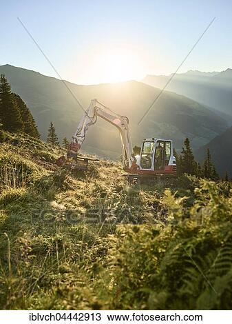 Stock Image - Excavator at sunrise with mulcher, alp tending, mountain landscape, Alps, Hintertux, Tuxertal, Zillertal, Tyrol, Austria, Europe. Fotosearch