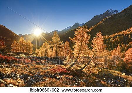 Stock Image - Fafleralp in the Lötschental, Valais, Switzerland, Europe. Fotosearch