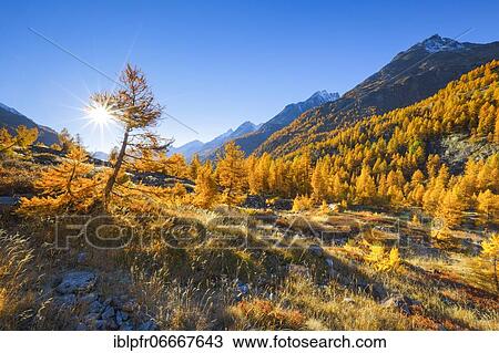 Fafleralp in the Lötschental, Valais, Switzerland, Europe View Large Photo Image Stock Image - Fafleralp in the Lötschental, Valais, Switzerland, Europe. Fotosearch