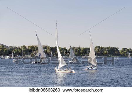 Feluccas on the river Nile, Aswan, Egypt, Africa View Large Photo Image Stock Image - Feluccas on the river Nile, Aswan, Egypt, Africa. Fotosearch