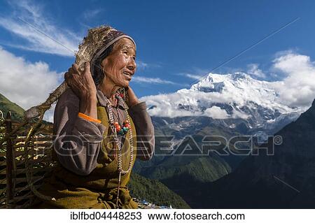 Female farmer carrying basket with harvested crops with Mount Annapurna II in the distance, Ghyaru, Manang District, Nepal, Asia View Large Photo Image Stock Image - Female farmer carrying basket with harvested crops with Mount Annapurna II in the distance, Ghyaru, Manang District, Nepal, Asia. Fotosearch