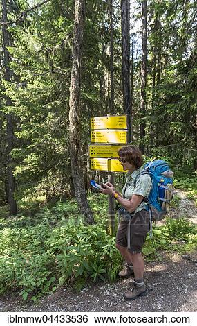 Stock Photograph - Female hiker at signpost in forest reads map on GPS device, Schladming Tauern, Schladming, Styria, Austria, Europe. Fotosearch