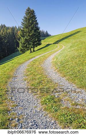 Field path on the Ratenpass, Canton Zug Switzerland View Large Photo Image Stock Photograph - Field path on the Ratenpass, Canton Zug Switzerland. Fotosearch