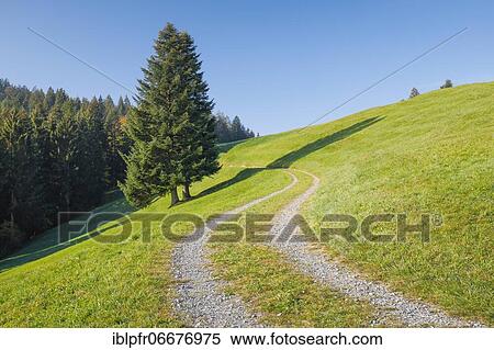 Field path on the Ratenpass, Canton Zug Switzerland View Large Photo Image Stock Photography - Field path on the Ratenpass, Canton Zug Switzerland. Fotosearch