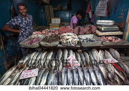 Fish for sale in Nuwara Eliya market hall, Central Province, Sri Lanka, Asia View Large Photo Image Stock Image - Fish for sale in Nuwara Eliya market hall, Central Province, Sri Lanka, Asia. Fotosearch