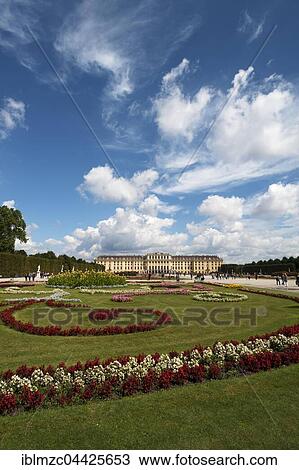 Flower bed in park, Schönbrunn Palace, Vienna, Austria, Europe View Large Photo Image Stock Image - Flower bed in park, Schönbrunn Palace, Vienna, Austria, Europe. Fotosearch