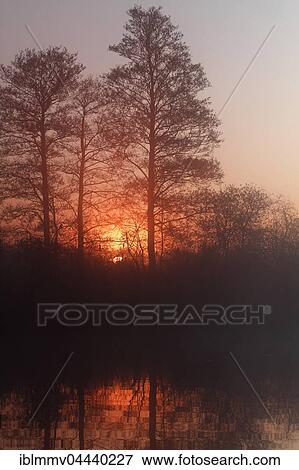 Stock Photo - Foggy atmosphere, sunset, Peenetal Nature Park, Mecklenburg-Western Pomerania, Germany, Europe. Fotosearch