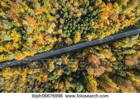 Forest lined road in autumn, Zurich Oberland, Switzerland, Europe View Large Photo Image Stock Photo - Forest lined road in autumn, Zurich Oberland, Switzerland, Europe. Fotosearch