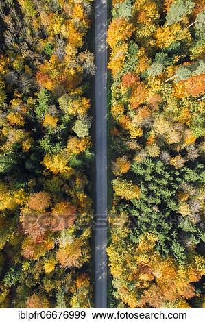 Stock Photo - Forest lined road in autumn, Zurich Oberland, Switzerland, Europe. Fotosearch