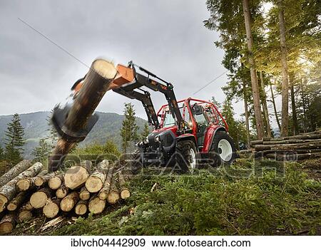 Forestry work, tractor moving tree trunk onto stack of wood, Lindner Traktor, Kundl, Tyrol, Austria, Europe View Large Photo Image Stock Photo - Forestry work, tractor moving tree trunk onto stack of wood, Lindner Traktor, Kundl, Tyrol, Austria, Europe. Fotosearch